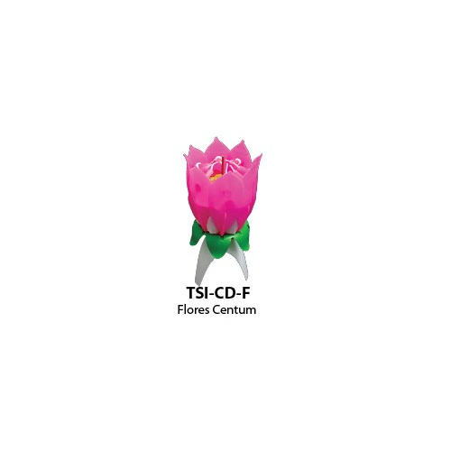 flores_centum