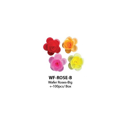 rose-b_1203919069